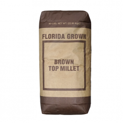 Hancock's Hancock Millet Brown Top, 50lb. Bag - HSC0176 - Seeds & Bulbs