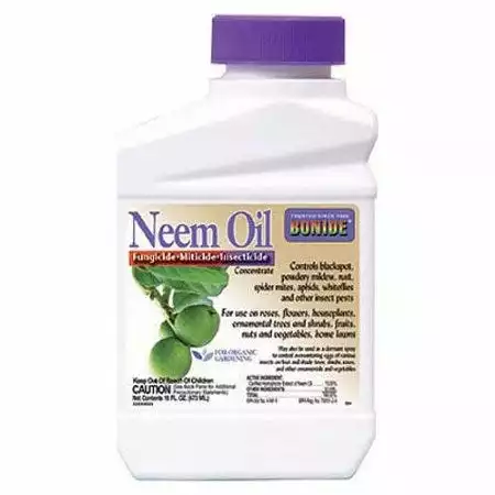 Bonide Neem Oil - Organic Concentrate Pint - 24 - Bug & Pest Control - Image 2