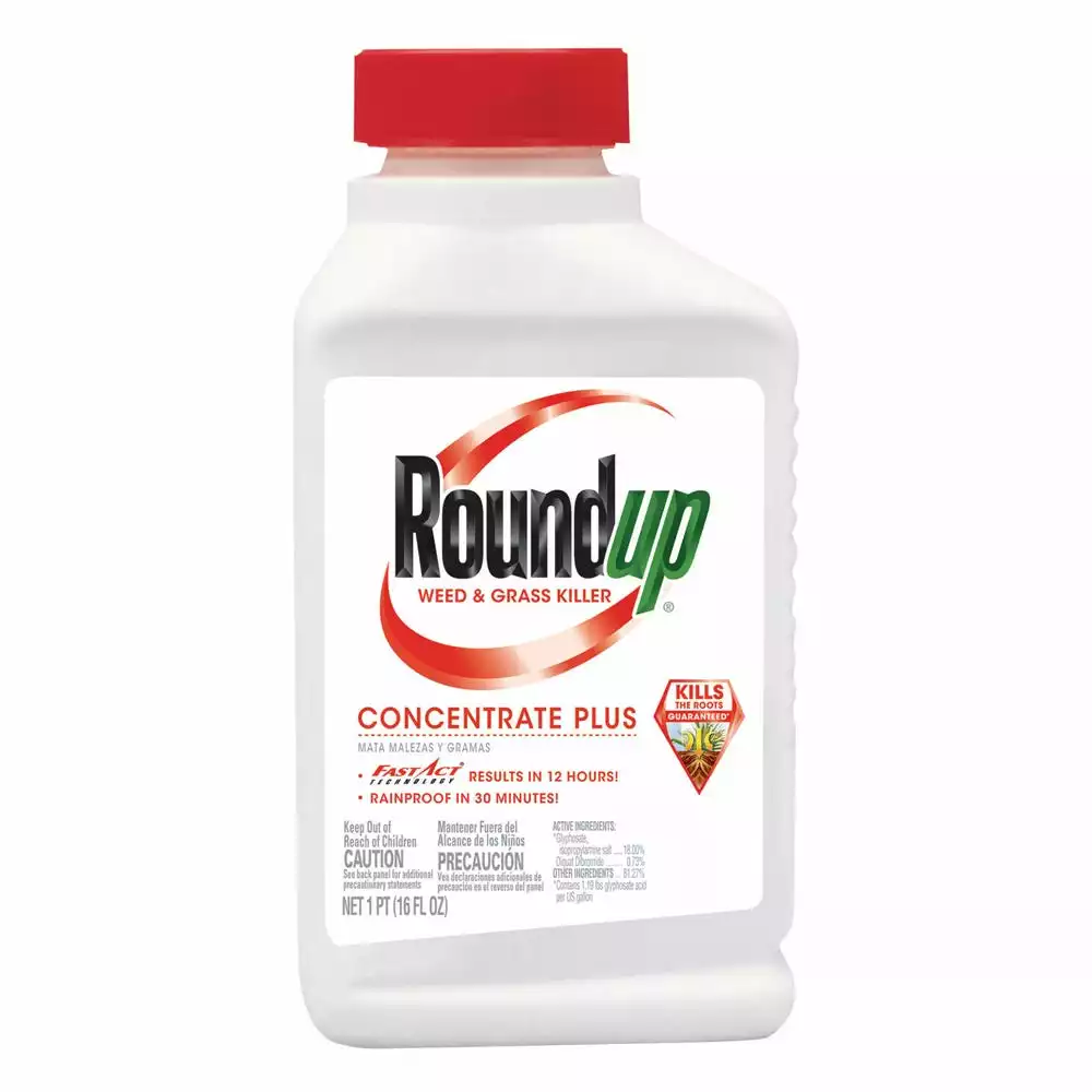 Roundup Concentrate Plus Weed and Grass Killer, 16 oz. - 5005510 - Herbicides