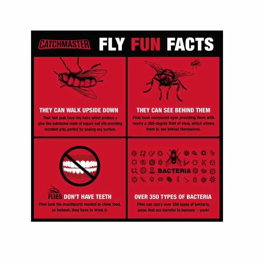 Catchmaster Scented Bug and Fly Catcher Fly Ribbon - 9144B4 - Bug Candles & Zappers - Image 5