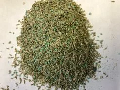 Hancock's Pasture Mix South, 25 lb. Bag - HSC0503 - Seeds & Bulbs